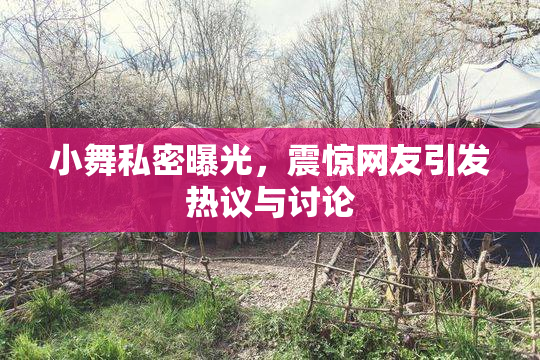 小舞私密曝光，震惊网友引发热议与讨论