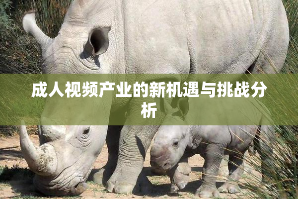 成人视频产业的新机遇与挑战分析