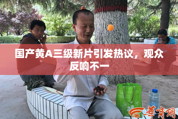 国产黄A三级新片引发热议，观众反响不一