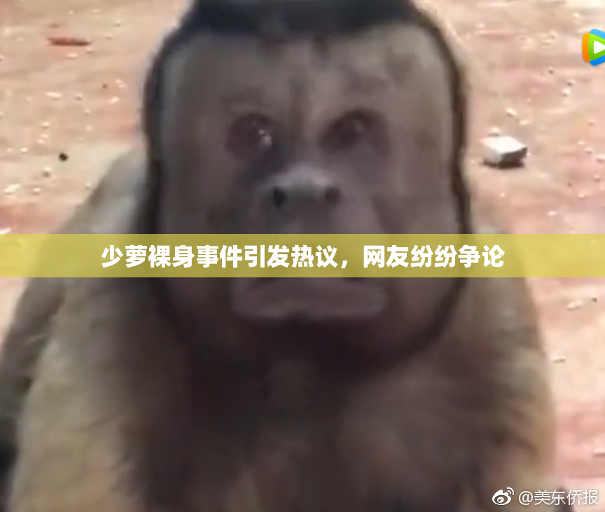 少萝裸身事件引发热议，网友纷纷争论