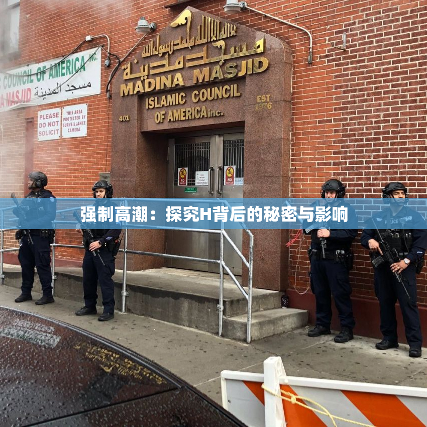 强制高潮：探究H背后的秘密与影响