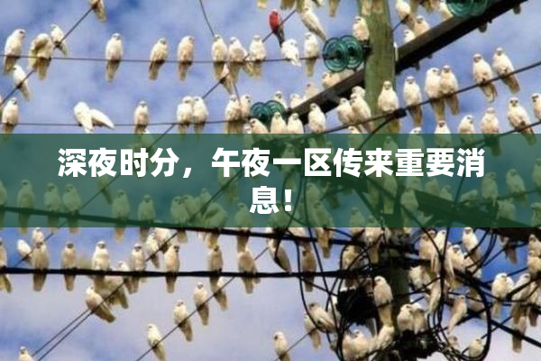 深夜时分，午夜一区传来重要消息！