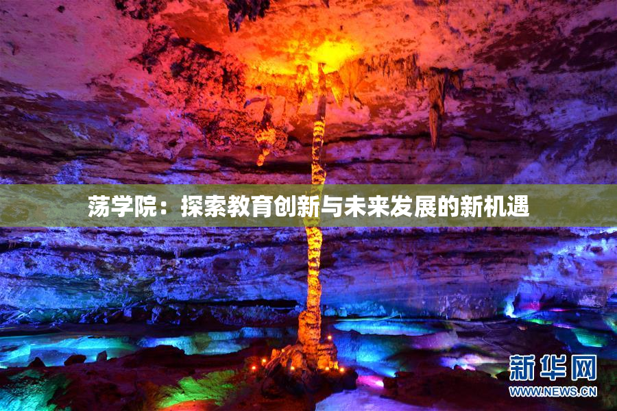 荡学院：探索教育创新与未来发展的新机遇