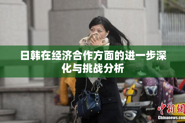 日韩在经济合作方面的进一步深化与挑战分析