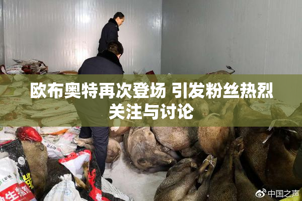 欧布奥特再次登场 引发粉丝热烈关注与讨论