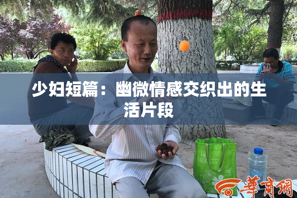 少妇短篇：幽微情感交织出的生活片段