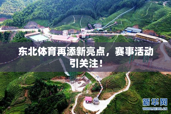 东北体育再添新亮点，赛事活动引关注！
