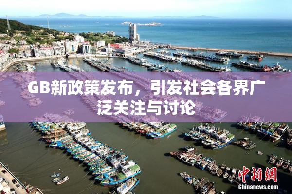 GB新政策发布，引发社会各界广泛关注与讨论