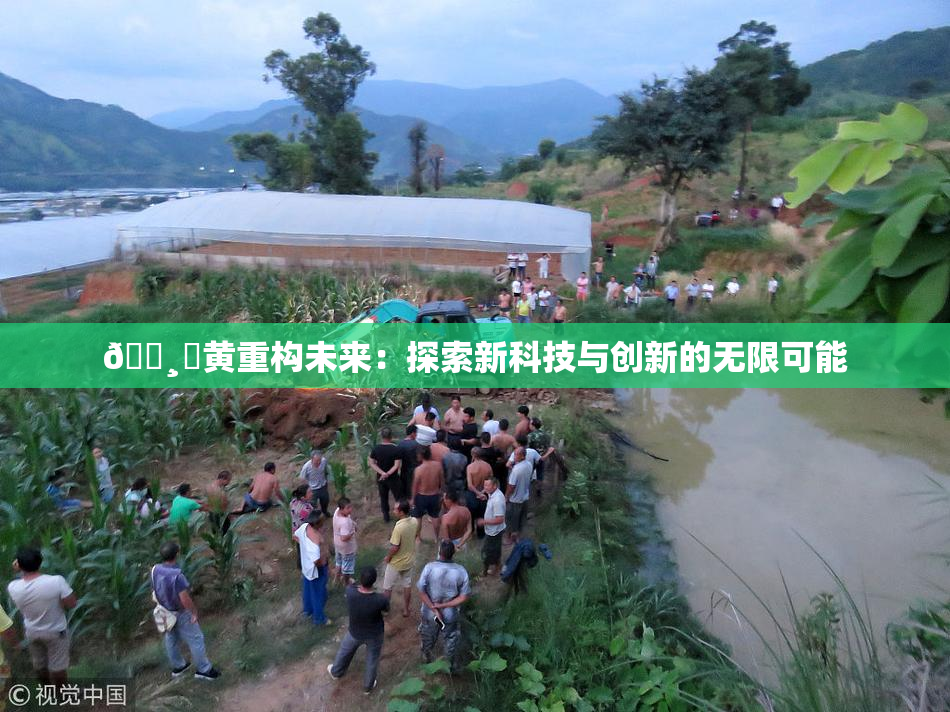🌸‌黄重构未来：探索新科技与创新的无限可能