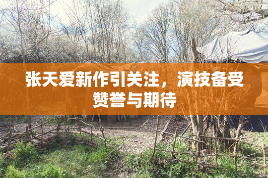 张天爱新作引关注，演技备受赞誉与期待