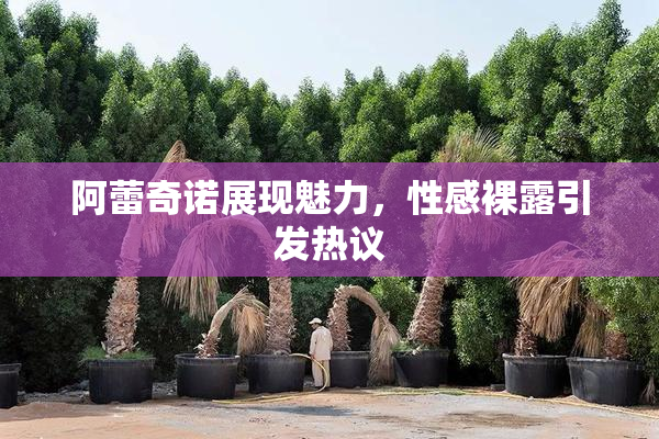 阿蕾奇诺展现魅力，性感裸露引发热议