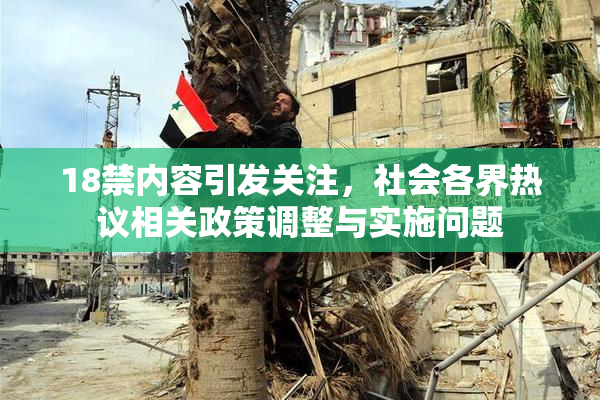 18禁内容引发关注，社会各界热议相关政策调整与实施问题