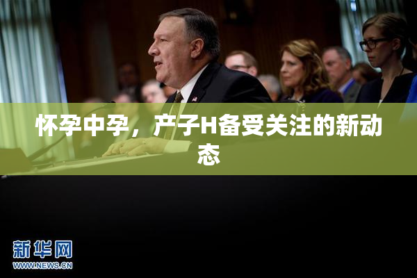 怀孕中孕，产子H备受关注的新动态