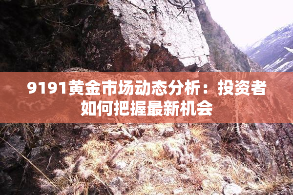 9191黄金市场动态分析：投资者如何把握最新机会