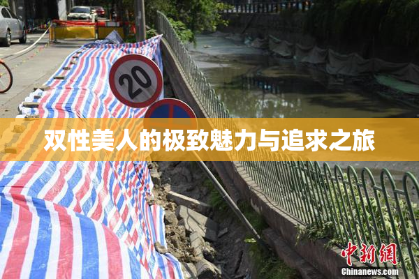 双性美人的极致魅力与追求之旅