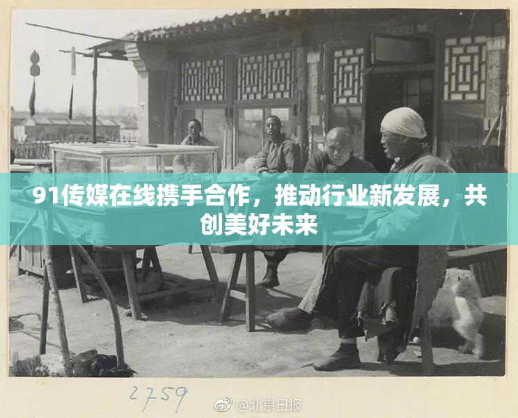 91传媒在线携手合作，推动行业新发展，共创美好未来