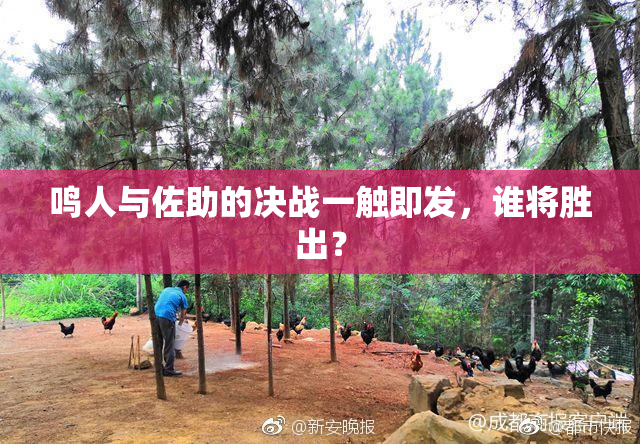 鸣人与佐助的决战一触即发，谁将胜出？