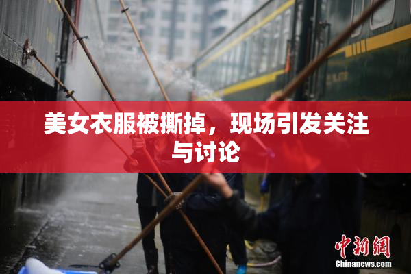 美女衣服被撕掉，现场引发关注与讨论