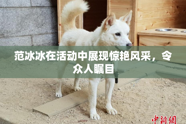 范冰冰在活动中展现惊艳风采，令众人瞩目