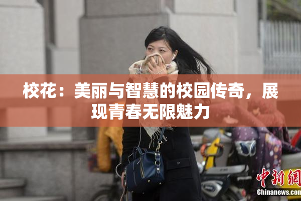 校花：美丽与智慧的校园传奇，展现青春无限魅力