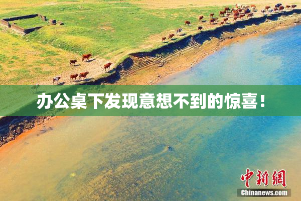 办公桌下发现意想不到的惊喜！
