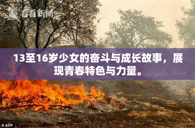 13至16岁少女的奋斗与成长故事，展现青春特色与力量。
