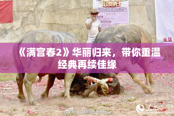 《满宫春2》华丽归来，带你重温经典再续佳缘