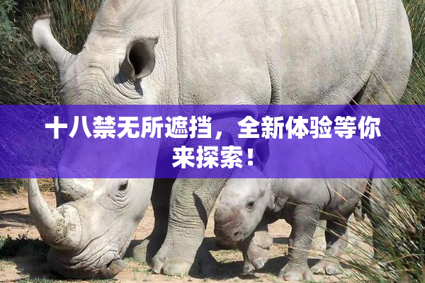 十八禁无所遮挡，全新体验等你来探索！