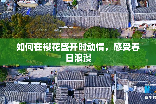 如何在樱花盛开时动情，感受春日浪漫
