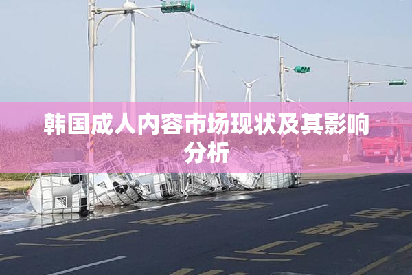 韩国成人内容市场现状及其影响分析