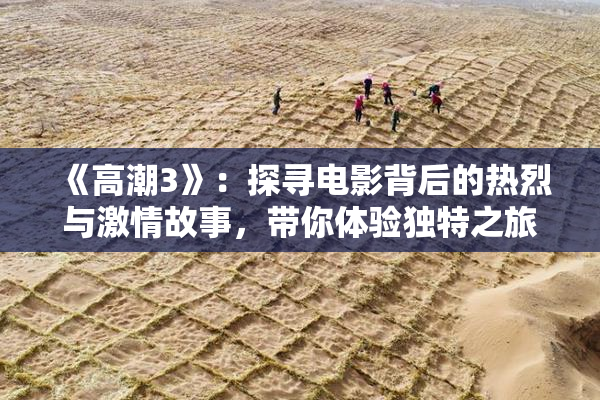 《高潮3》：探寻电影背后的热烈与激情故事，带你体验独特之旅。