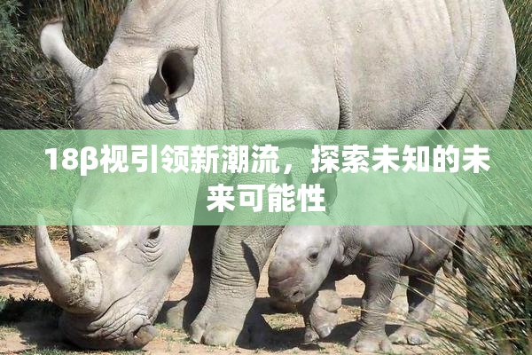 18β视引领新潮流，探索未知的未来可能性