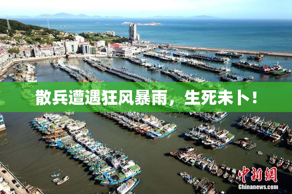 散兵遭遇狂风暴雨，生死未卜！