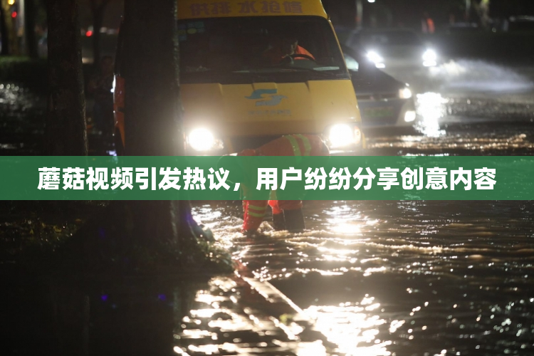 蘑菇视频引发热议，用户纷纷分享创意内容