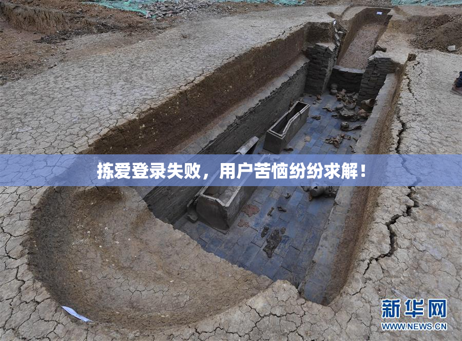 拣爱登录失败，用户苦恼纷纷求解！