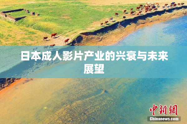 日本成人影片产业的兴衰与未来展望