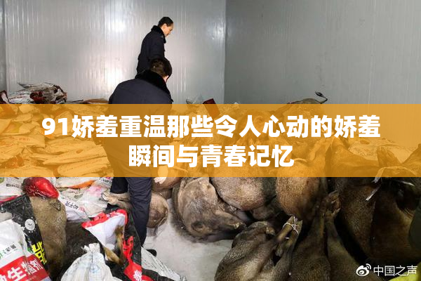 91娇羞重温那些令人心动的娇羞瞬间与青春记忆
