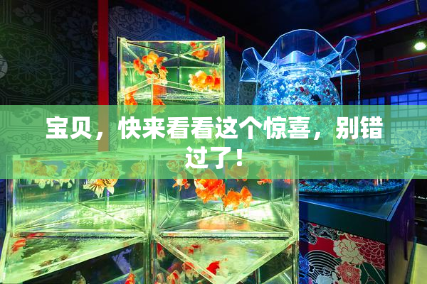 宝贝，快来看看这个惊喜，别错过了！