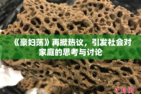 《豪妇荡》再掀热议，引发社会对家庭的思考与讨论