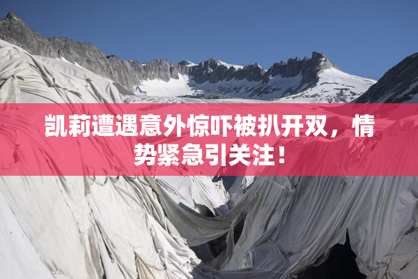 凯莉遭遇意外惊吓被扒开双，情势紧急引关注！