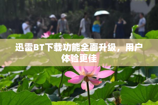 迅雷BT下载功能全面升级，用户体验更佳