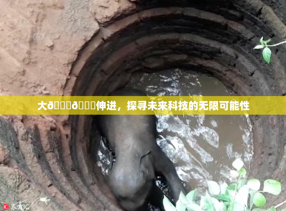 大🐔🐔伸进，探寻未来科技的无限可能性