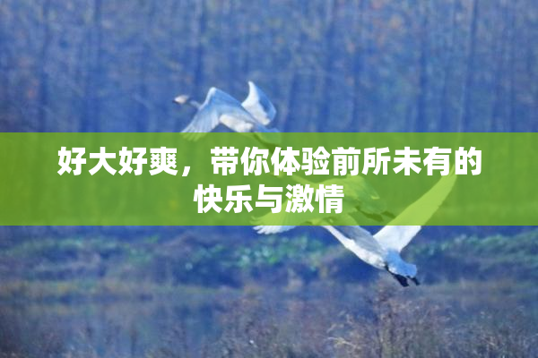 好大好爽，带你体验前所未有的快乐与激情