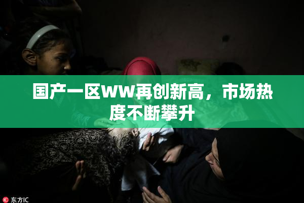 国产一区WW再创新高，市场热度不断攀升