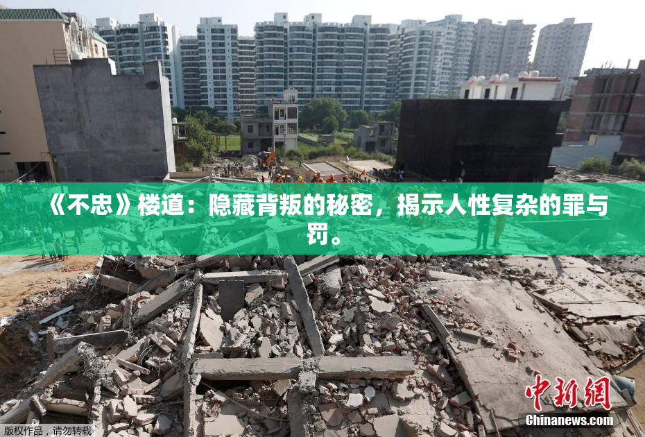 《不忠》楼道：隐藏背叛的秘密，揭示人性复杂的罪与罚。