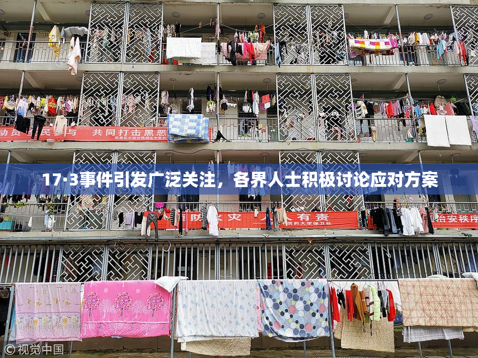 17·3事件引发广泛关注，各界人士积极讨论应对方案