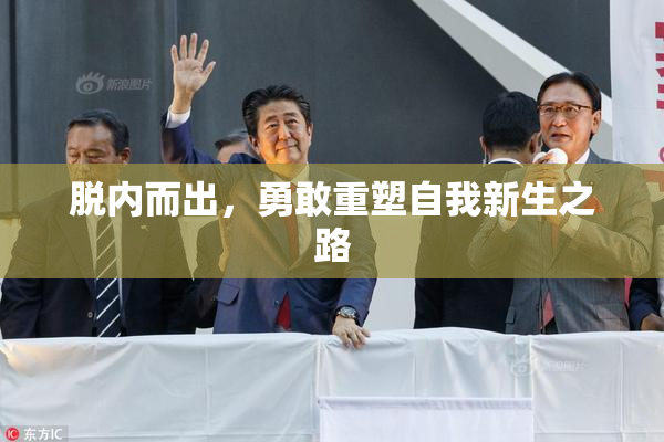 脱内而出，勇敢重塑自我新生之路