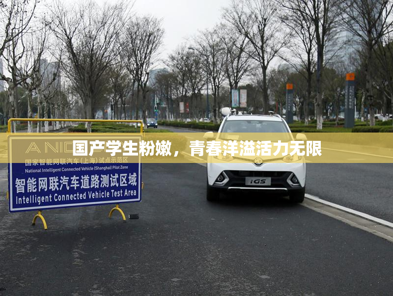 国产学生粉嫩，青春洋溢活力无限