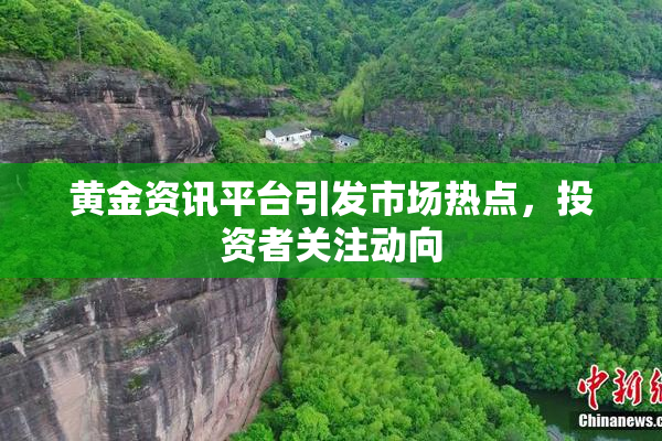 黄金资讯平台引发市场热点，投资者关注动向