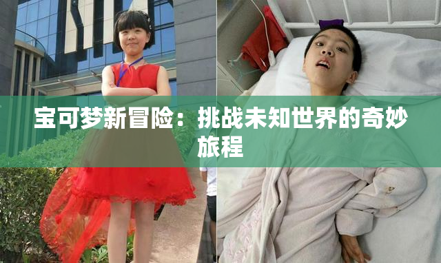 宝可梦新冒险：挑战未知世界的奇妙旅程